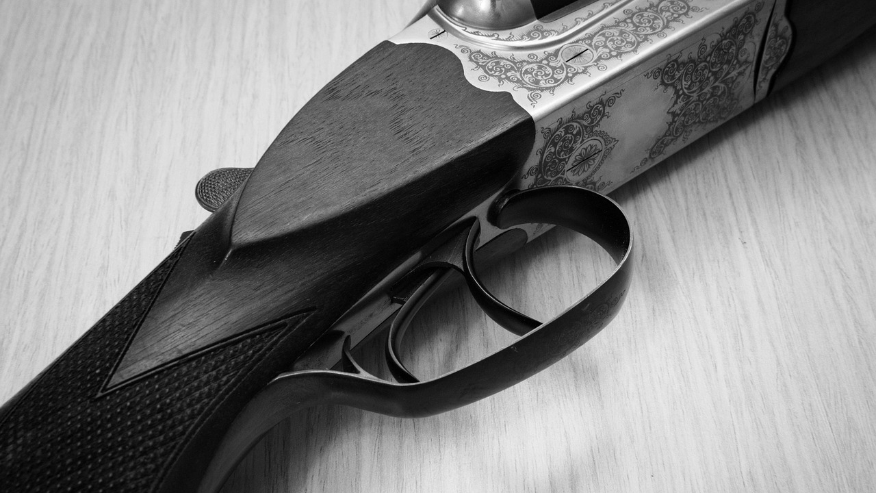 Солтүстік Қазақстанда жасөспірім қолдан жасалған қарумен атылып қалды