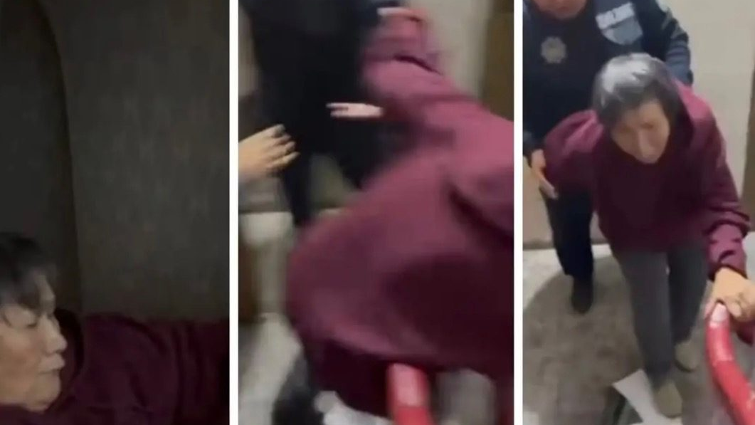Алматы облысында 77 жастағы әжеге полиция қол жұмсаған видео желіні шулатты