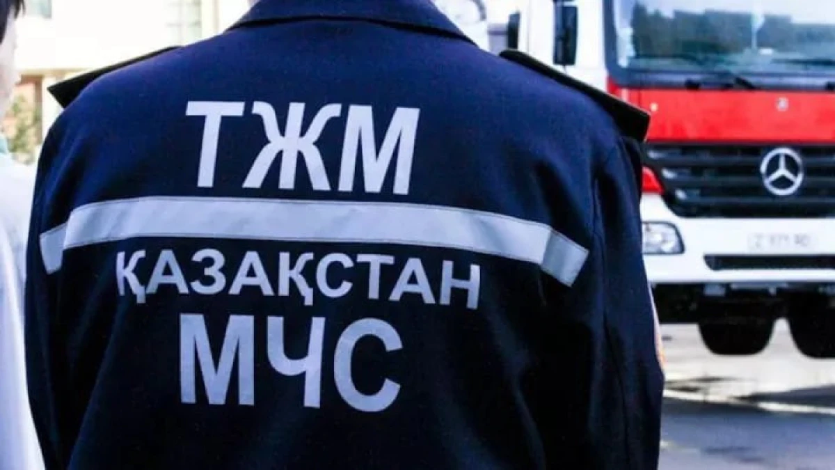 Түркістан облысында 3 жасар бала дәретханаға түсіп кетті