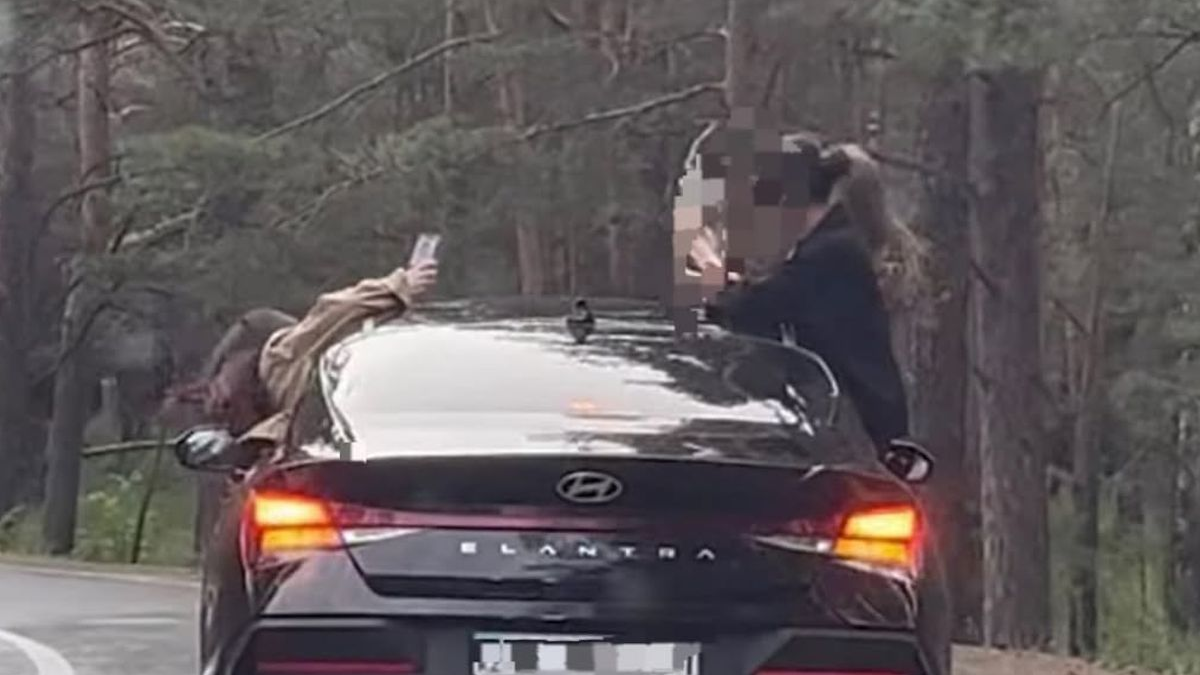 Бурабай жолындағы қауіпті сапар: видео түсірмек болған қыздар мен жүргізуші жазаланды