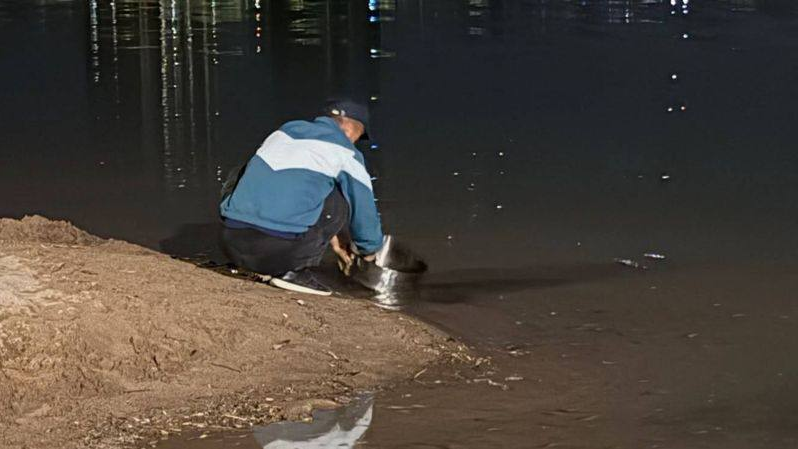 «Балаларға осыны жегізеді»: Алматылықтарды шошытқан Сайрандағы сатушының әрекеті