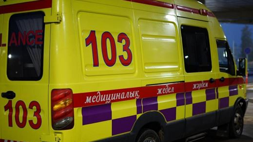 Жағдайы ауыр: Ақмола облысында 3 жасар баланы жылқы таптап кетті