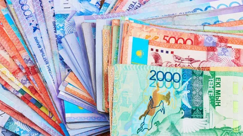 Более 250 млн тенге субсидий похитили через фиктивные сельхозкооперативы