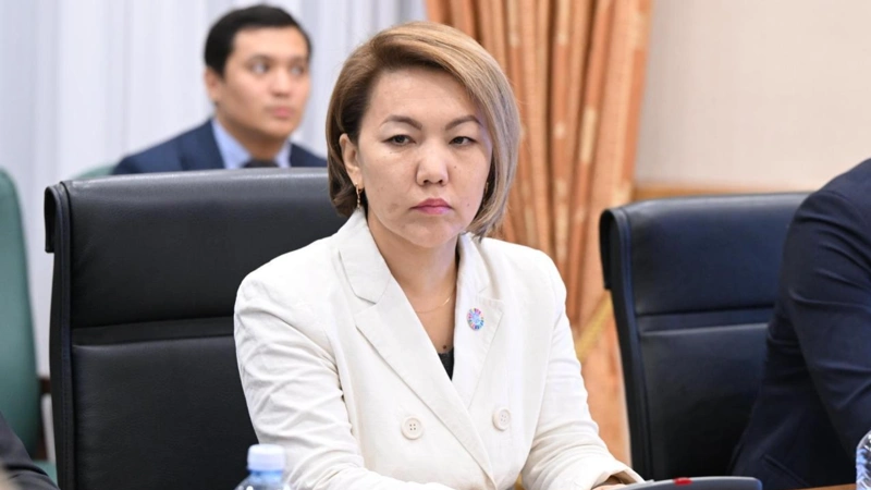 Халық кеңесі заң қабылдап, референдум өткізе алады: Жаңа Ата заңның ең басты артықшылықтары